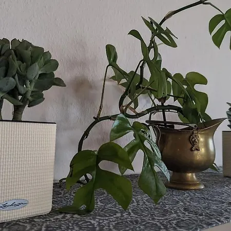 Ferienoase Mit Dachterrasse Nahe Sankt Leoner Apartment *